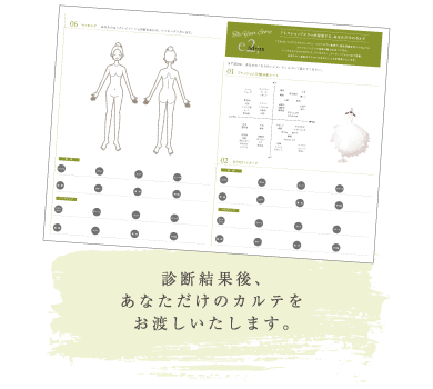 診断結果カルテイメージ