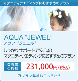 �}�^�j�e�B�E�G�f�B���O�v���� AQUA JEWEL �@�A�N�A �W���G��
