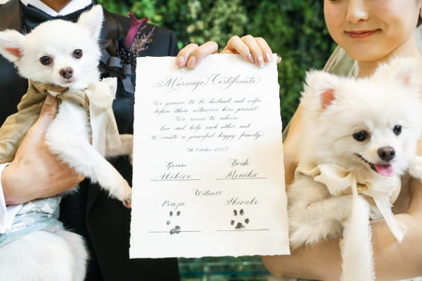結婚証明書に肉球スタンプ