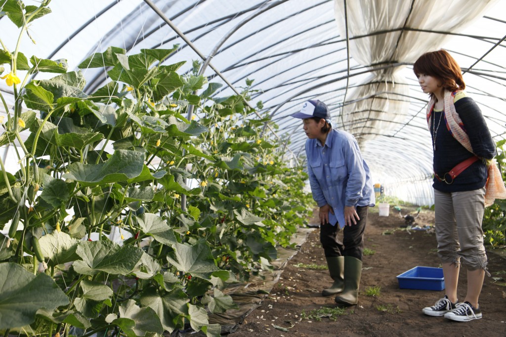 センティール農園に行ってきました！！