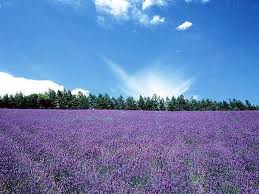 皆様ありがとうございました。