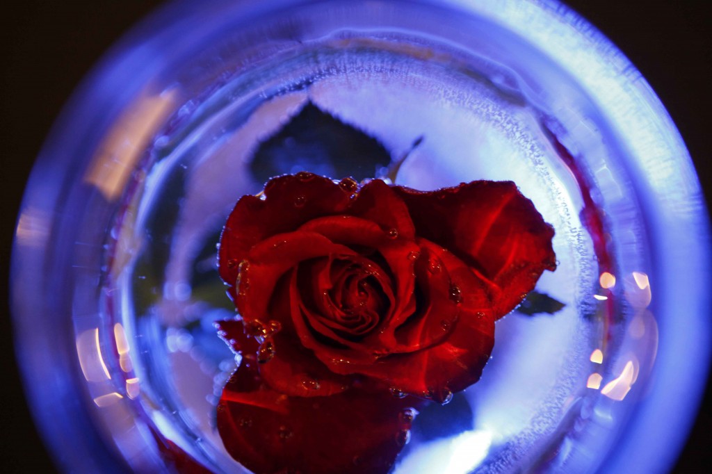 最近のお気に入り