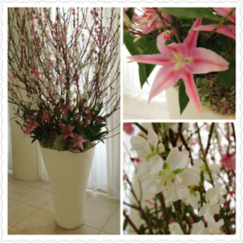 ☆センティール今週のお花☆