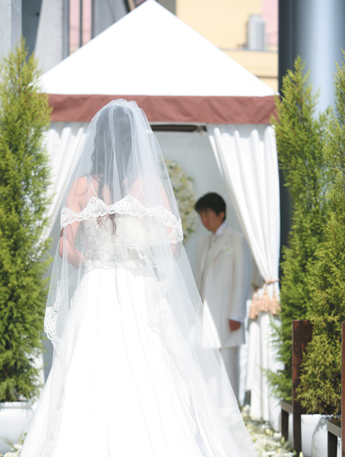 ☆綺麗な花ﾖﾒになる夢☆