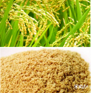 秋のスキンケア(^_^)☆