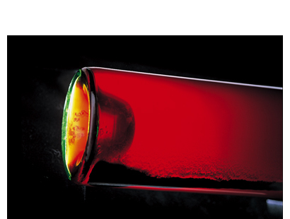 ソムリエたまごのひとりごと～第２巻