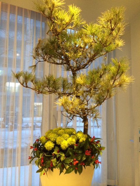 今週のお花 – 松