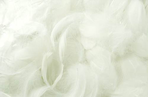 ハッピーフェザー