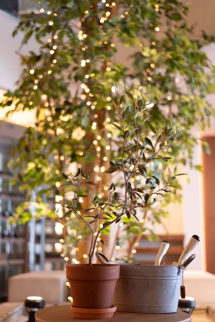 未来へ繋がるセレモニー